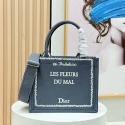 Dior Book Tote pequeño con bandolera