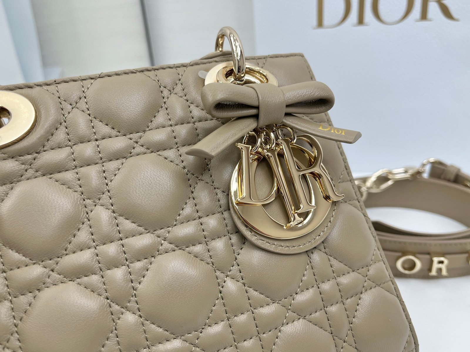 Bolso pequeño Lady Dior My ABCDior - Imagen 5