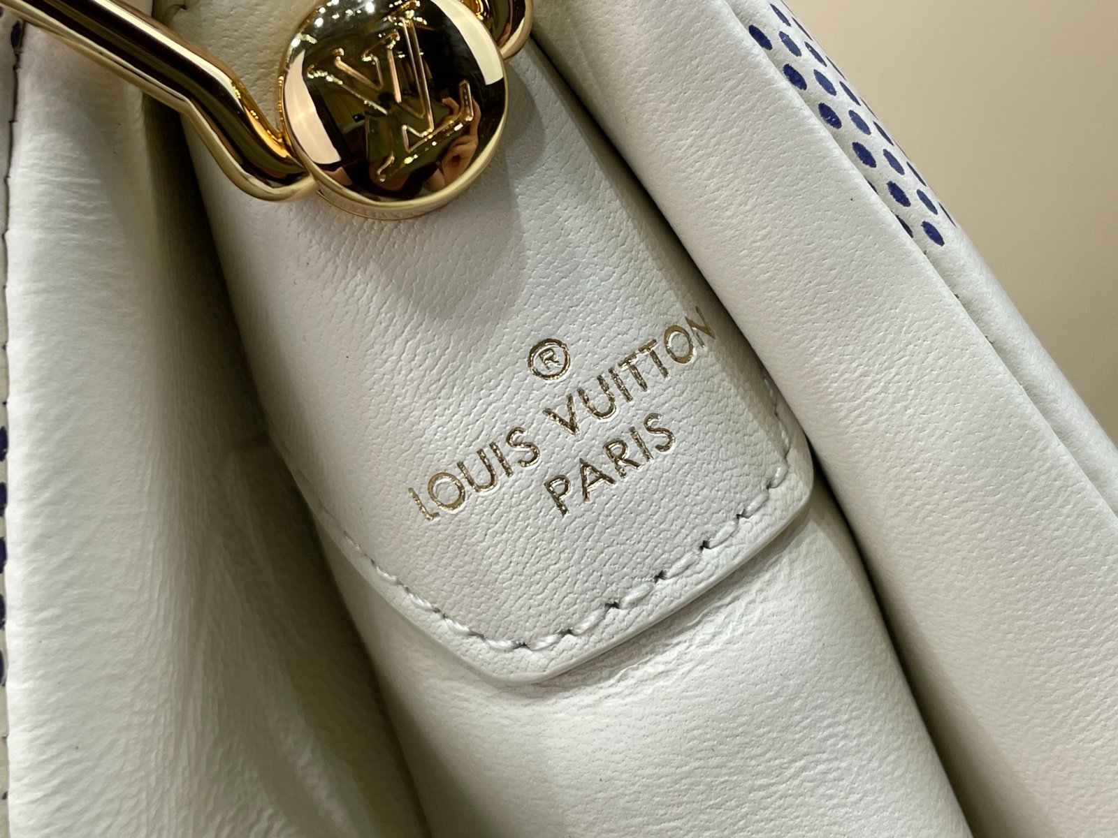 Bolso Coussin PM Louis Vuitton - Imagen 8