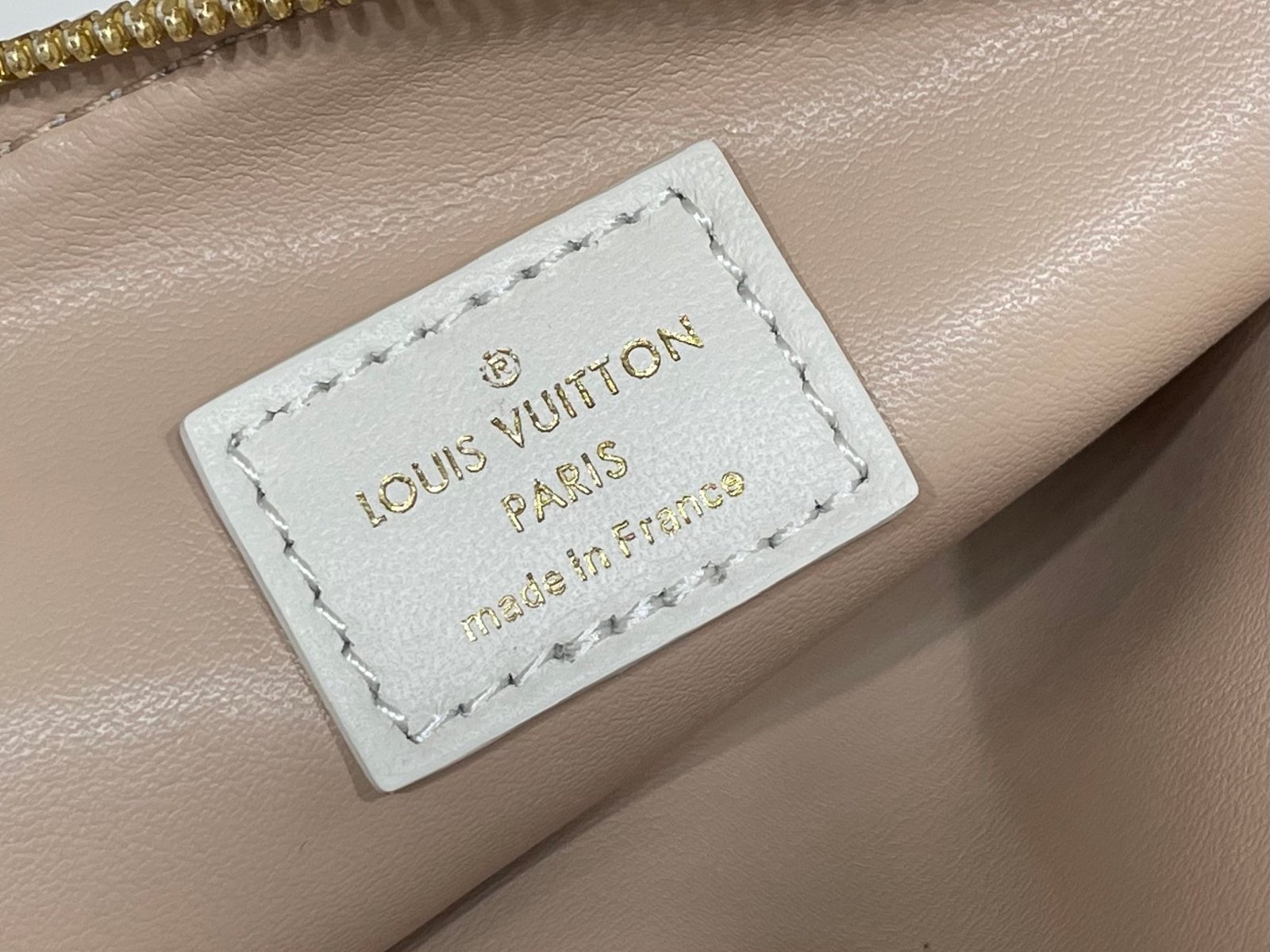 Bolso Coussin PM Louis Vuitton - Imagen 11
