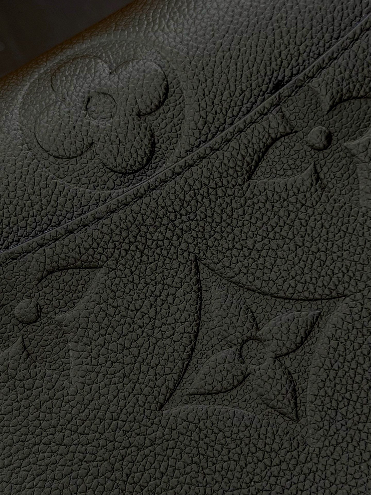 Bolso Diane Louis Vuitton - Imagen 7