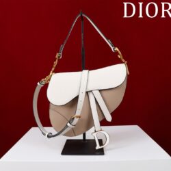 Bolso Saddle con bandolera Dior